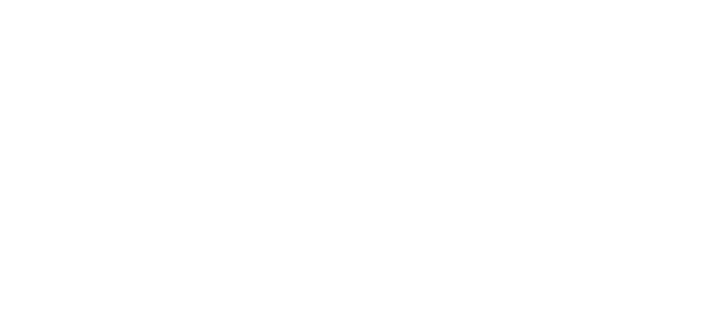 pega logo weiss2